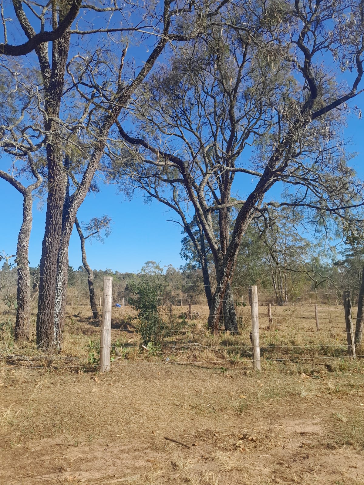 WhatsApp Image 2025-09-09 at 17.09.28