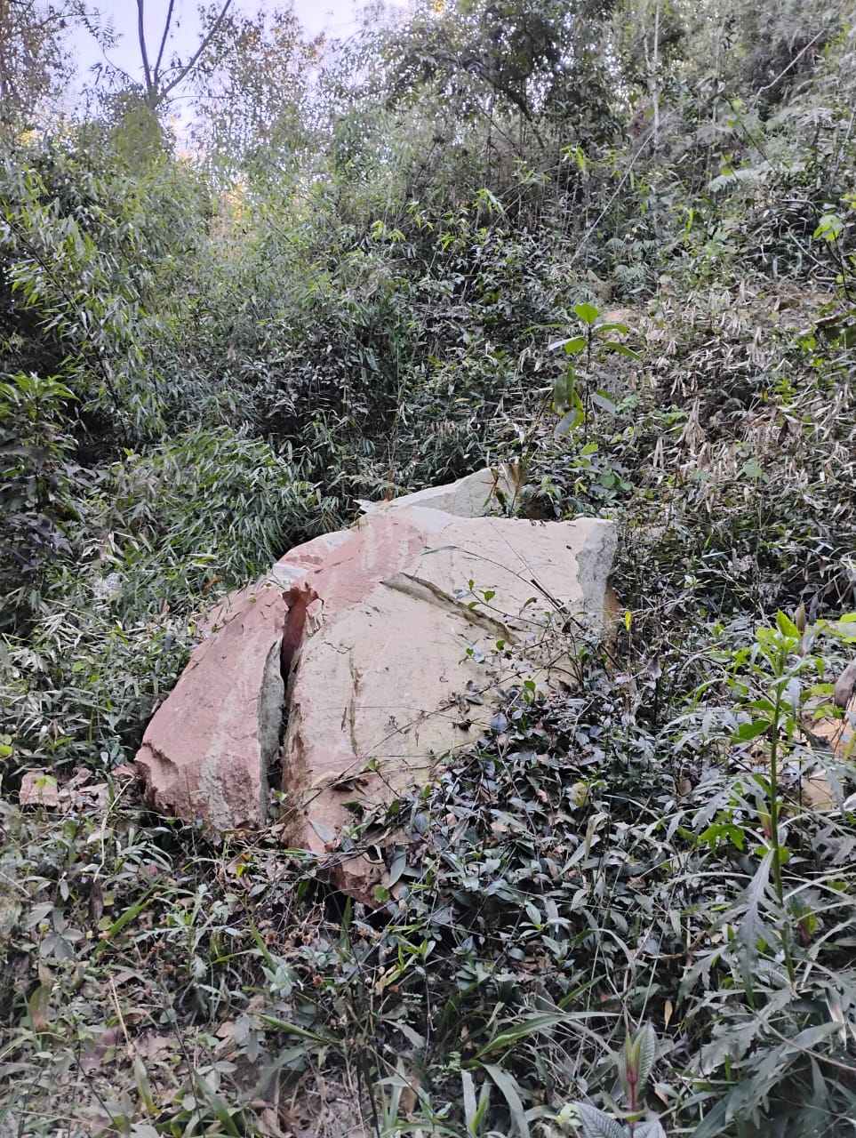 WhatsApp Image 2025-09-16 at 12.21.56