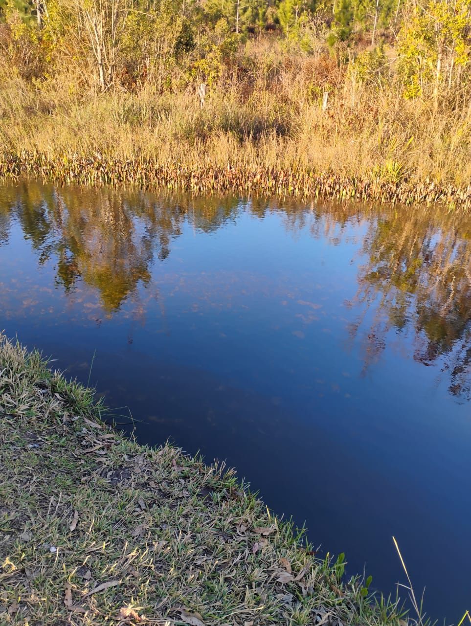 WhatsApp Image 2025-09-16 at 12.23.09