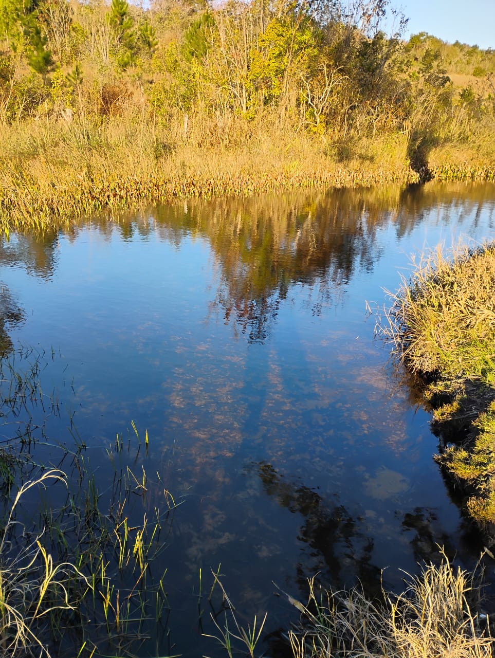 WhatsApp Image 2025-09-16 at 12.23.12