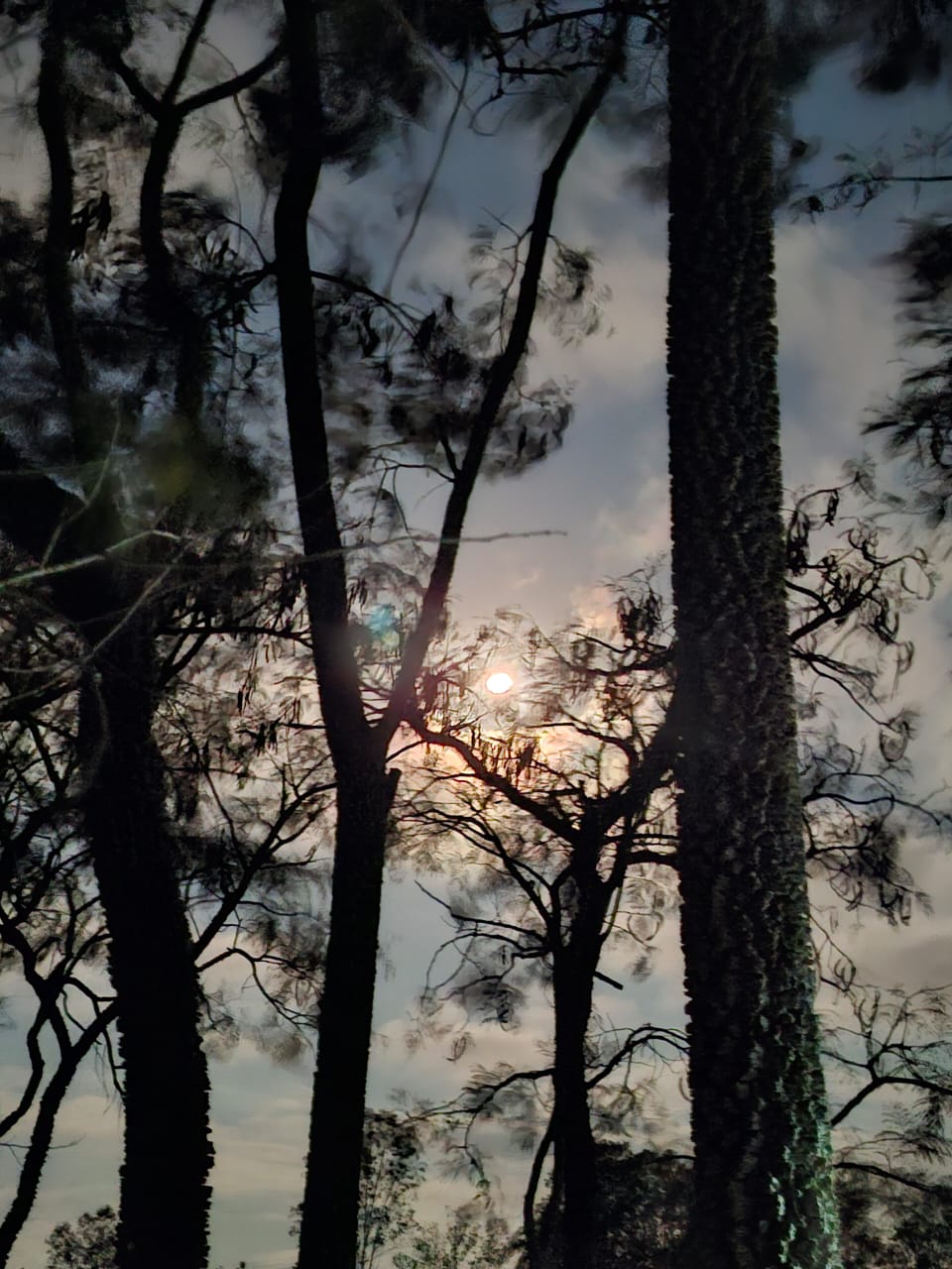 WhatsApp Image 2025-09-19 at 08.37.25