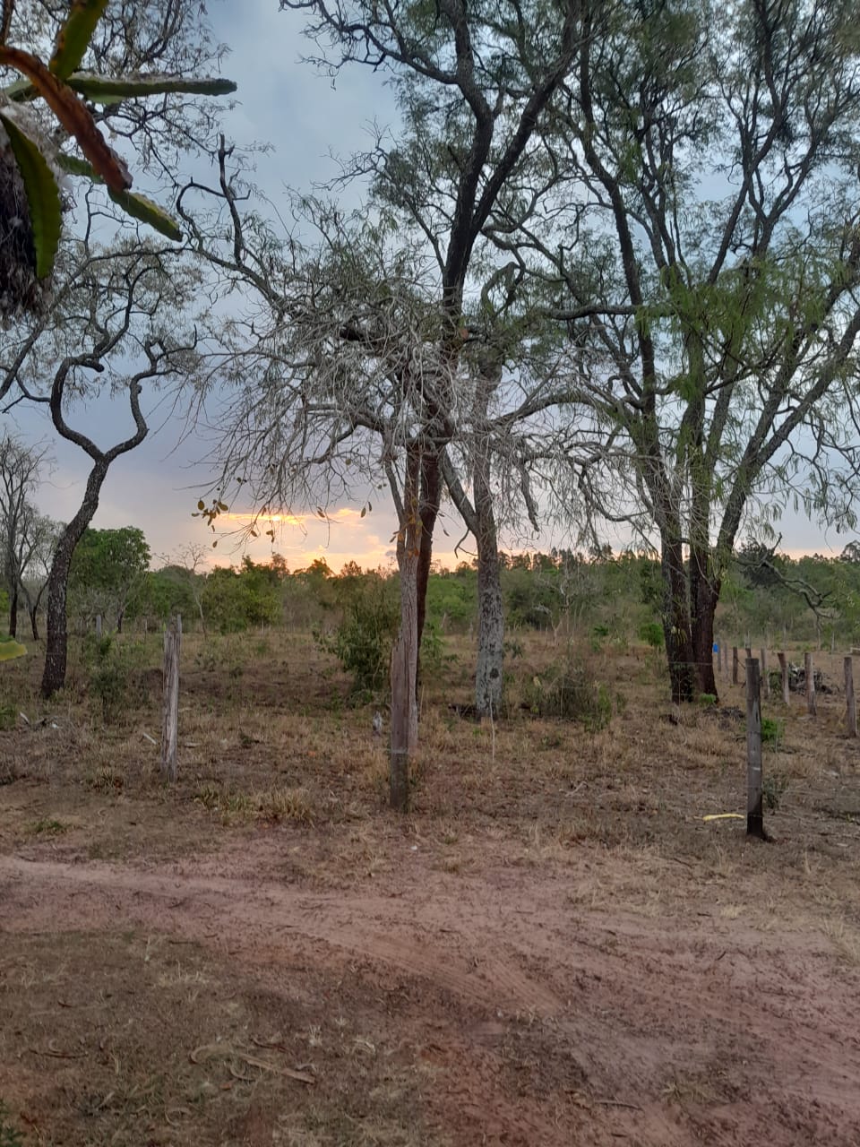 WhatsApp Image 2025-10-03 at 19.12.44