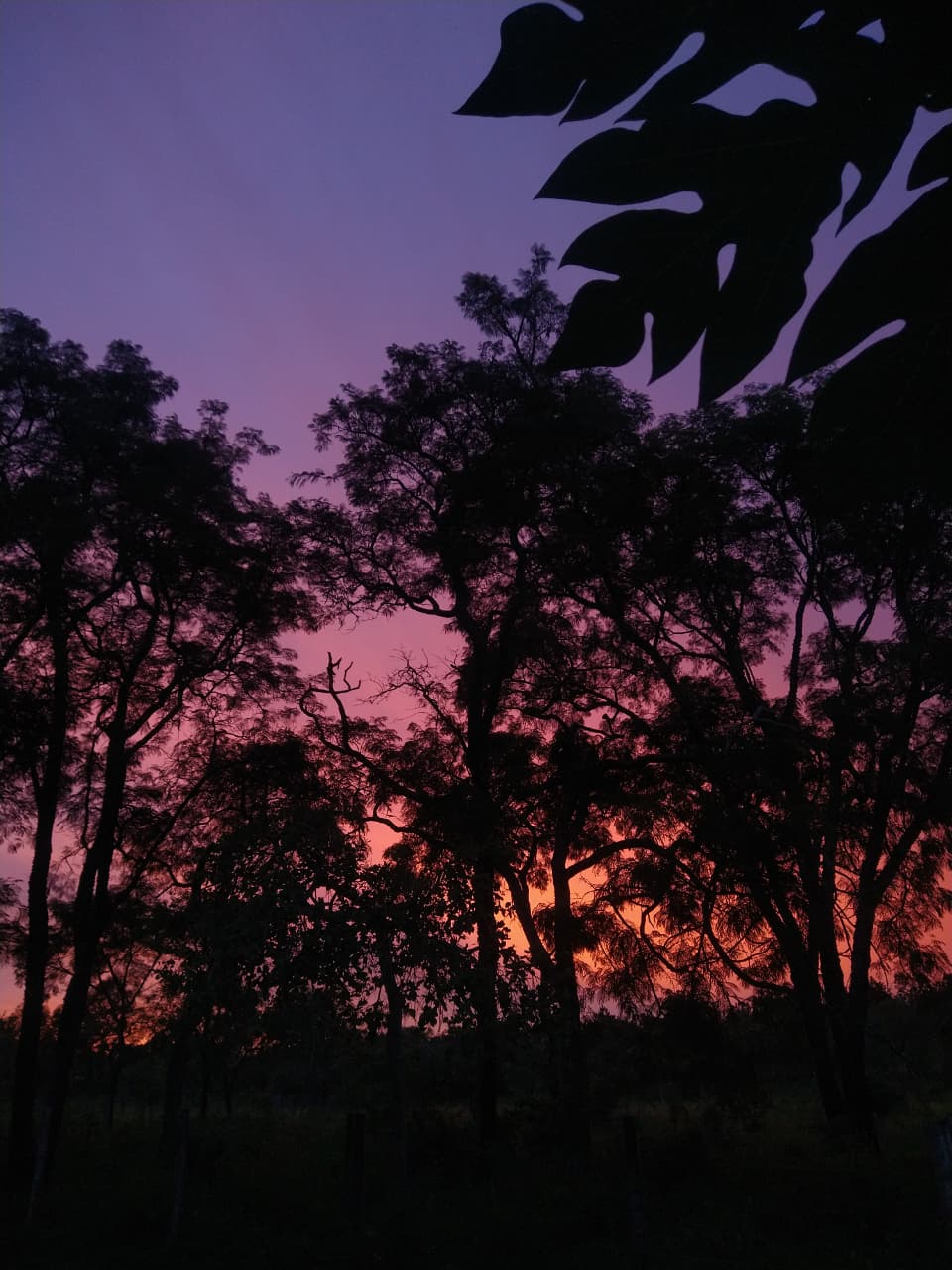 WhatsApp Image 2026-01-02 at 19.45.55 (1)